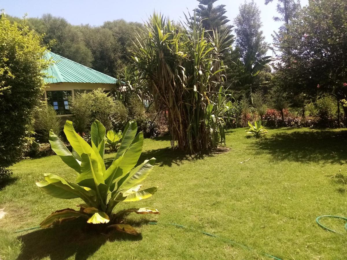 Homebase Gardens 纳库鲁 外观 照片