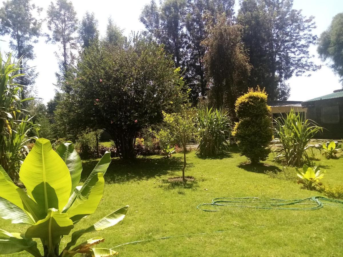 Homebase Gardens 纳库鲁 外观 照片
