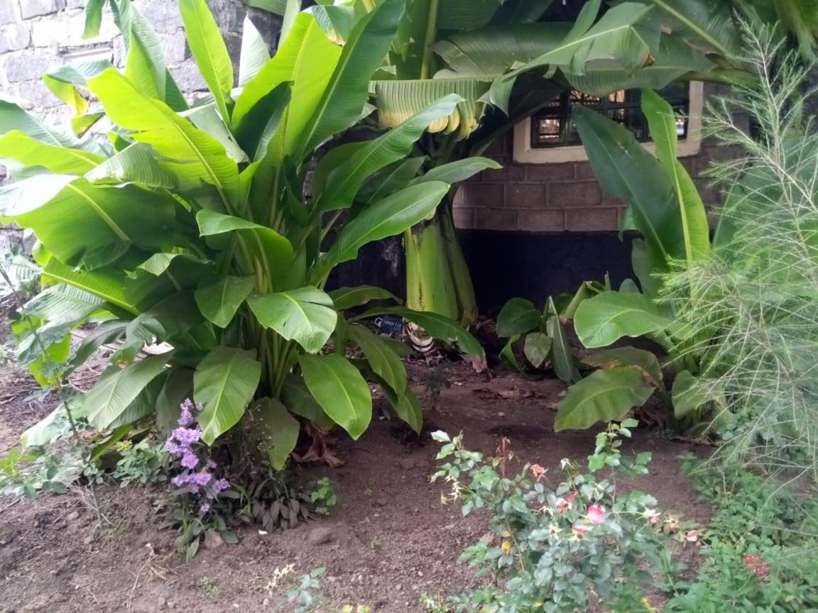 Homebase Gardens 纳库鲁 外观 照片